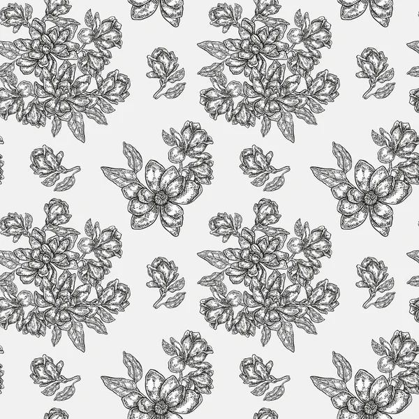 Vintage magnolia bloemen, knoppen en bladeren. Vector naadloze patroon. Illustratie voor stoffen, geschenkverpakking, textiel en design van de kaart — Stockvector