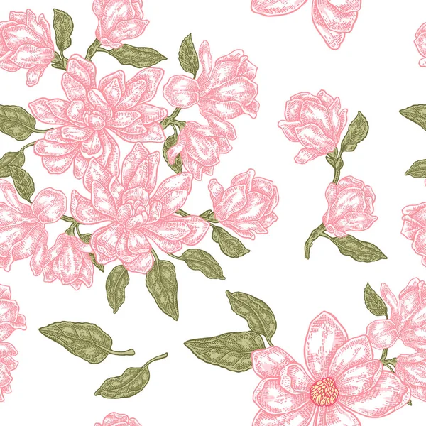 Vintage magnolia blommor, knoppar och blad. Vector sömlösa mönster — Stock vektor