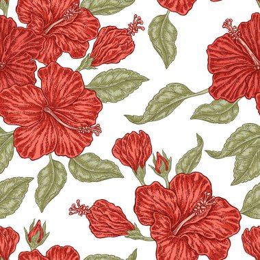 Vintage kırmızı hibiscus çiçek. Vektör seamless modeli. Gösterim amacıyla kumaşlar, hediye paketleme