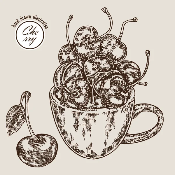 El kiraz Kupası'nda çekilmiş. Vektör çizim stili kazınmış