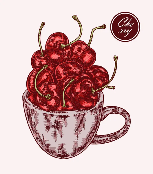 Copa dibujada a mano con cereza. Ilustración vectorial vintage — Archivo Imágenes Vectoriales