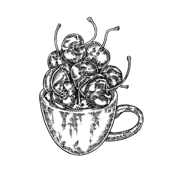 Cerise dessinée à la main dans une illustration vectorielle de tasse. Croquis aux baies isolé sur fond blanc — Image vectorielle