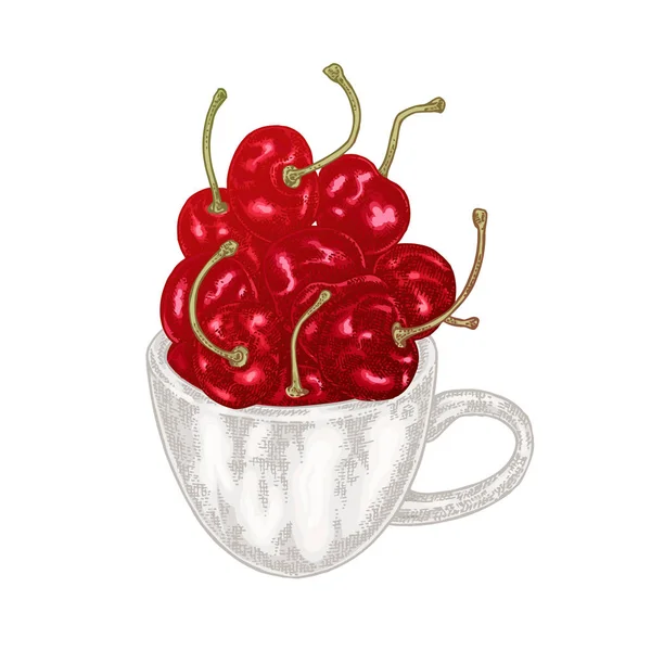 Hand drawn cherry in cup vector illustration. Fruit sketch isolated on white background — Stock Vector