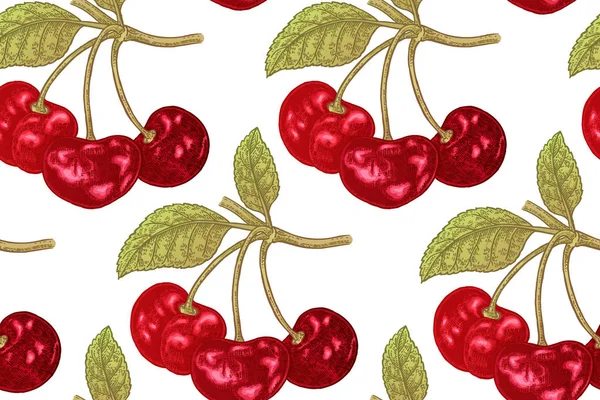 Seamless botanical pattern with cherry branches isolated on white background. Vector illustration vintage — Stock Vector