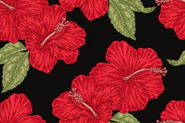 Siyah zemin üzerine kırmızı hibiscus çiçek. Elle çizilmiş seamless modeli. Vektör çizim kumaşlar, hediye paketleme, Tekstil ve kart tasarımı