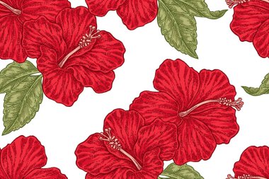 Kırmızı hibiscus çiçek seamless modeli. Vektör çizim kumaşlar, hediye paketleme, Tekstil ve kart tasarımı