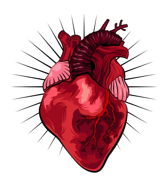 İnsan kalp dövme tarzı. Vektör çizim — Stok Vektör