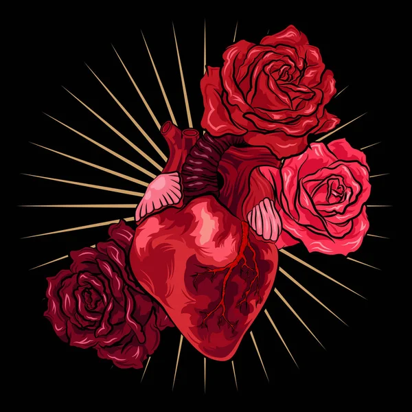 Cuore umano con rose rosse su sfondo nero. Illustrazione vettoriale — Vettoriale Stock