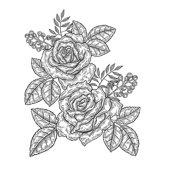Rosa blommor och blad i vintagestil. Hand dras botaniska vektorillustration. Blommig designelement — Stock vektor