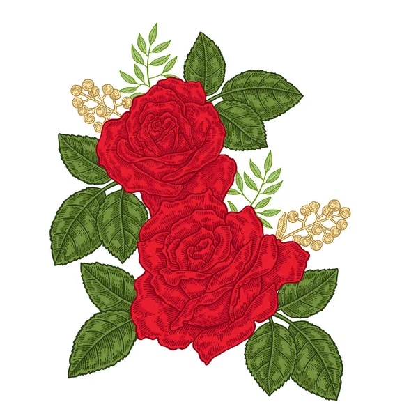 Rode rozen bloemen en bladeren in vintage stijl. Hand getekend botanische vectorillustratie. Floral designelementen — Stockvector