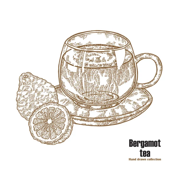 Frutas de Bergamota y taza de té aisladas sobre fondo blanco. Arte dibujado a mano. Ilustración vectorial grabado — Archivo Imágenes Vectoriales