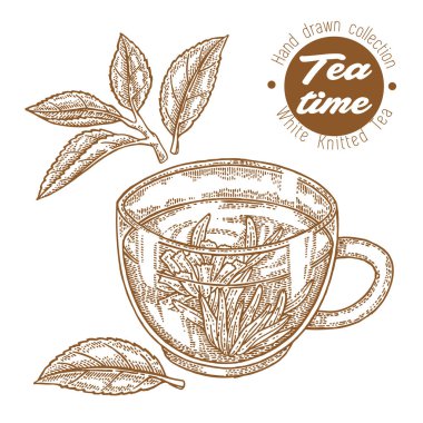 Elle çizilmiş fincan çay. Beyaz örme çay beyaz izole. Vektör çizim kazınmış. Ambalaj tasarımı.