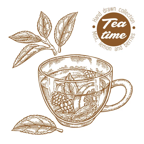 Taza de té dibujada a mano. Té de hierbas con limón, menta y frambuesa aislados en blanco. Ilustración vectorial grabada. Diseño para embalaje . — Archivo Imágenes Vectoriales