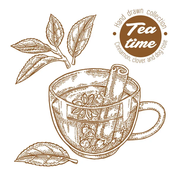 Chávena de chá desenhada à mão. Chá de ervas com canela, trevo e cachorro rosa isolado em branco. Ilustração vetorial gravada. Design para embalagem . —  Vetores de Stock