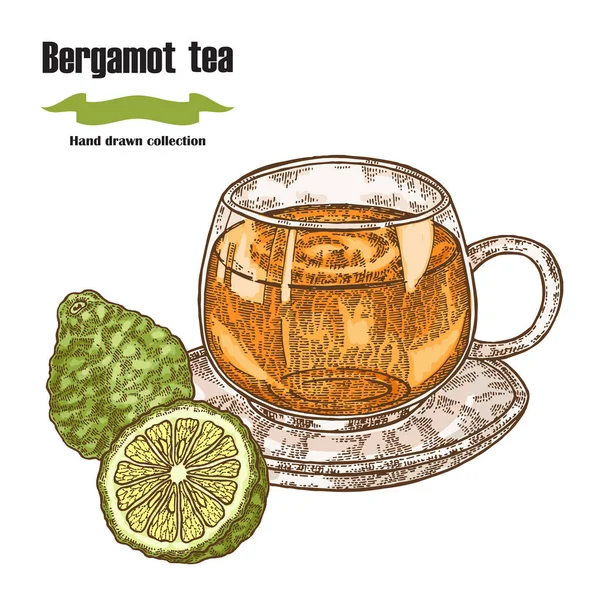 Bergamott frukter och kopp te isoleras på vit bakgrund. Handritade konst. Vektorillustration — Stock vektor
