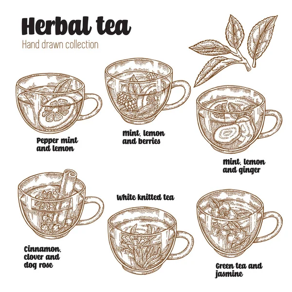 Handgezeichneter verschiedener Kräutertee. Rezept für Gesundheit. Tassen mit Tee isoliert auf weiß. Vektorillustration. — Stockvektor