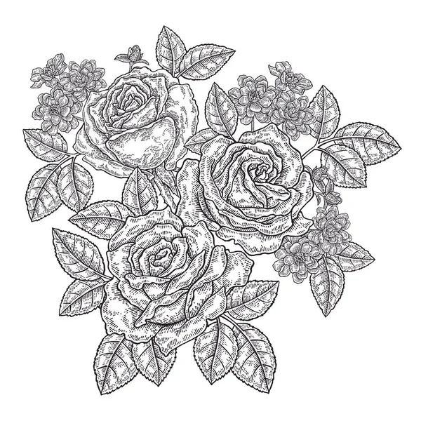 Το χέρι συντάσσονται ροδαλά λουλούδια και φύλλα. Vintage φλοράλ σύνθεση με λουλούδια την άνοιξη στον κήπο. Εικονογράφηση διάνυσμα χαραγμένο. — Διανυσματικό Αρχείο