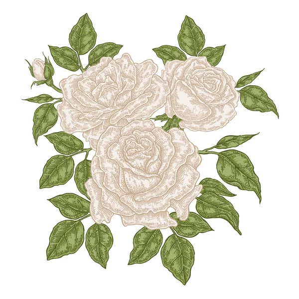 Hand getrokken witte rozen bloemen en bladeren. Vintage bloemen samenstelling. Lente tuin bloemen geïsoleerd. Vectorillustratie. — Stockvector