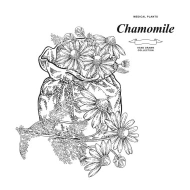 Papatya çiçekleri ve beyaz arka planda izole edilmiş tekstil torbası. Tıbbi gerbler elle çizilmiş. Oymalı vektör illüstrasyonu.