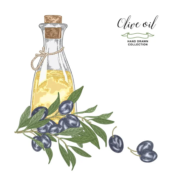 Huile Olive Dessinée Main Des Branches Olive Noires Une Bouteille — Image vectorielle