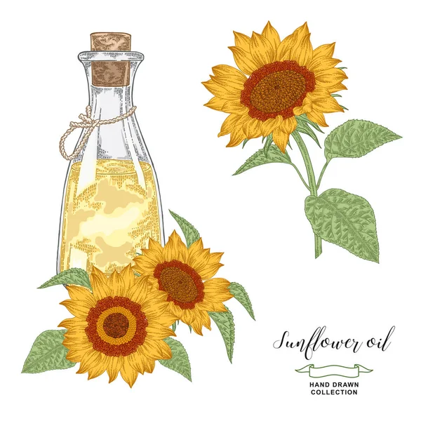 Sonnenblumenöl Von Hand Gezeichnet Bunte Sonnenblumen Und Eine Glasflasche Isoliert — Stockvektor