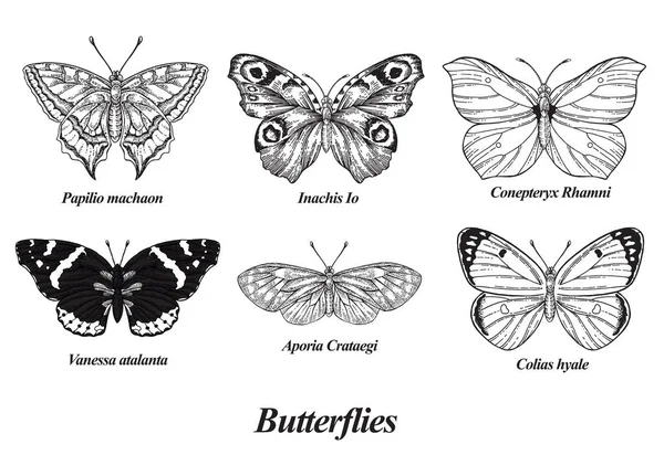 Mariposas Listas Ilustración Vectorial Colección Mariposa Blanco Negro Estilo Grabado — Vector de stock