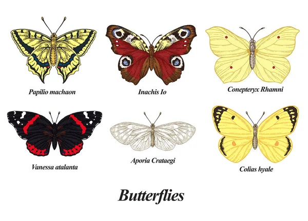 Mariposas Listas Ilustración Vectorial Colección Mariposas Vintage Colorido — Vector de stock