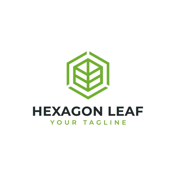 Hexagon Leaf, Eco, Trädgård, Botanik, Nature Line Logo Design — Stock vektor