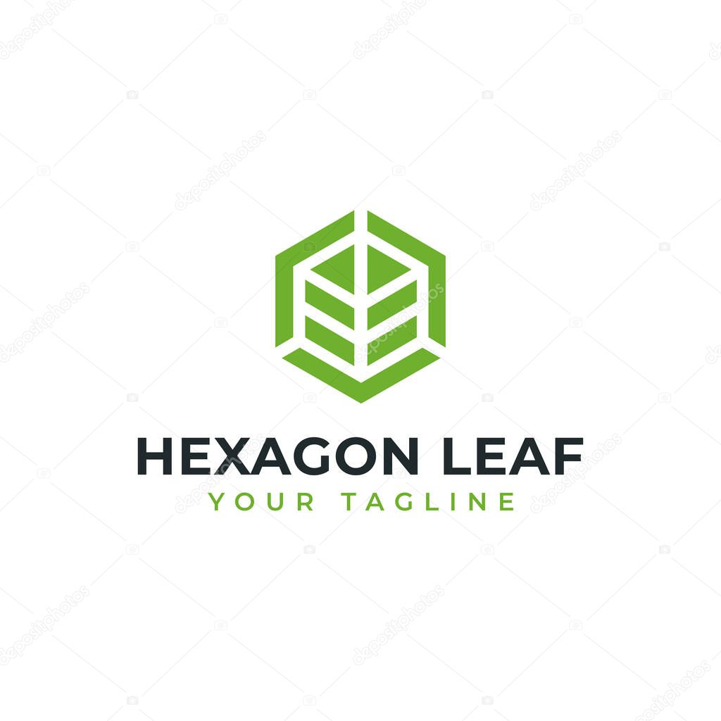 Hexagon Leaf, Eco, Garden, Botany, Nature Logo Design