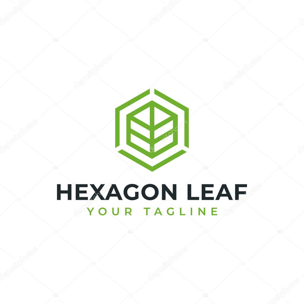 Hexagon Leaf, Eco, Garden, Botany, Nature Line Logo Design