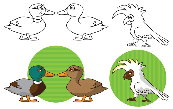 Animaux perroquet cacatoès et canard — Image vectorielle