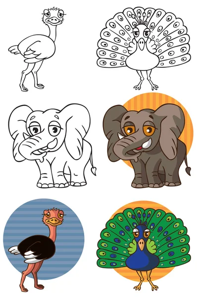 Elefante animal pavo real y avestruz — Archivo Imágenes Vectoriales