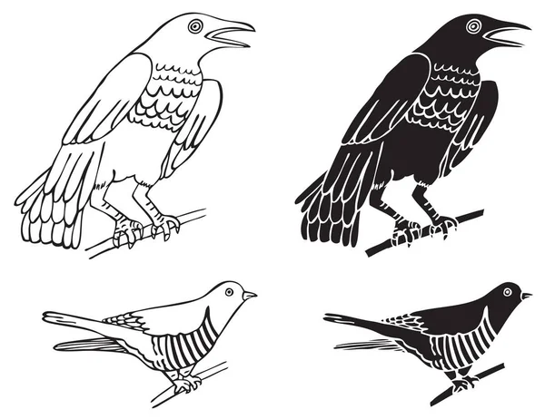 Vogels kraaien en koekoek — Stockvector