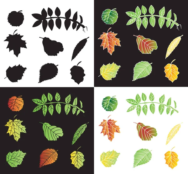 Leaves of trees silhouettes and color — Stock Vector