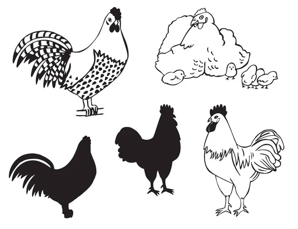 Pollas y gallinas con pollos — Archivo Imágenes Vectoriales