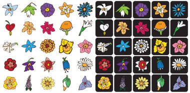 simgeler renkli çiçekler