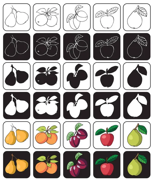 Frukt ikonen äpple päron plommon aprikos — Stock vektor
