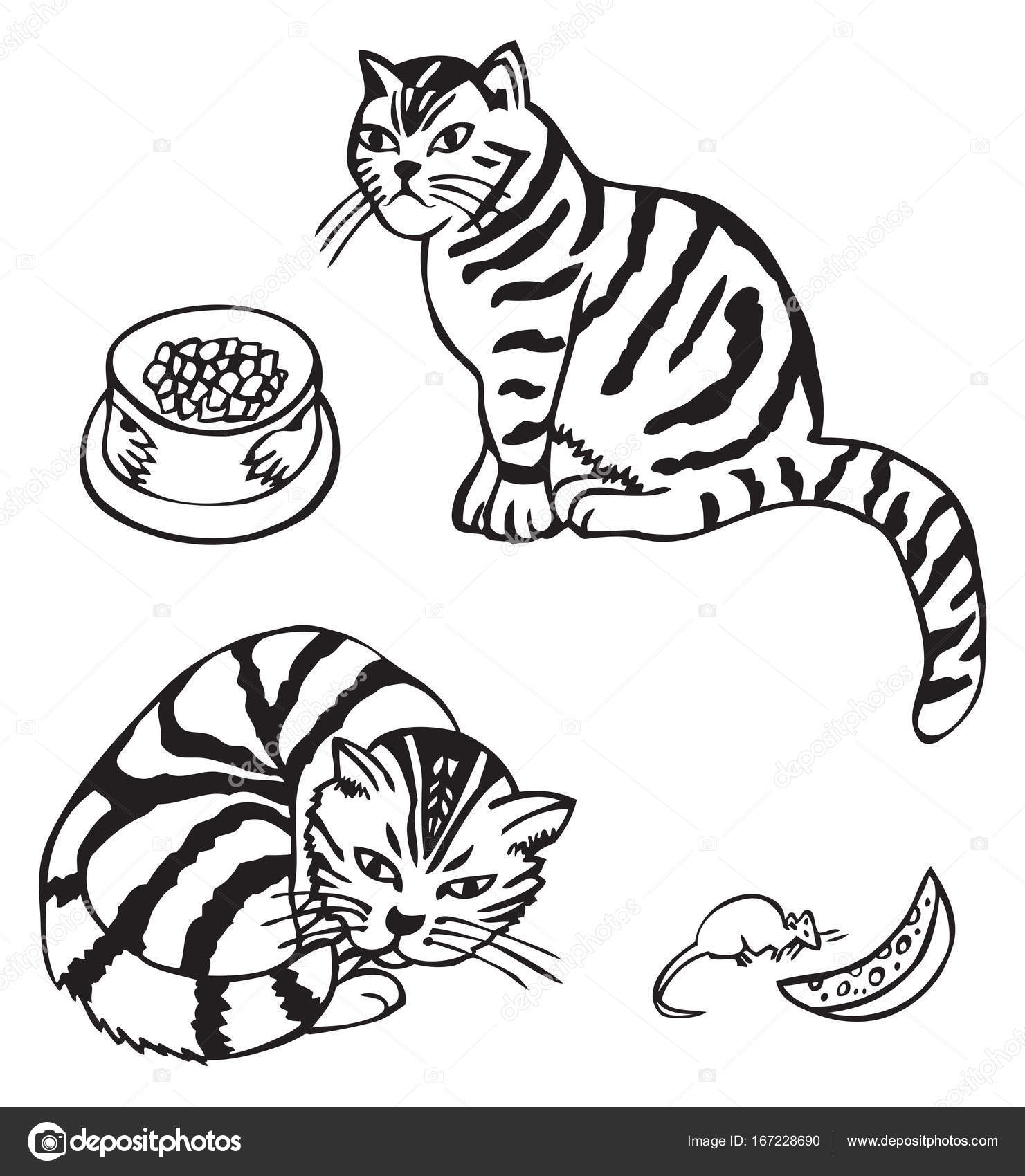Kot I Mysz Z Serem Grafika Wektorowa Olga1983siv1 167228690