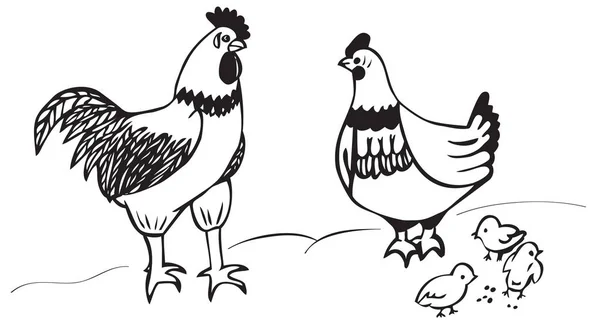 Петух и цыплята — стоковый вектор