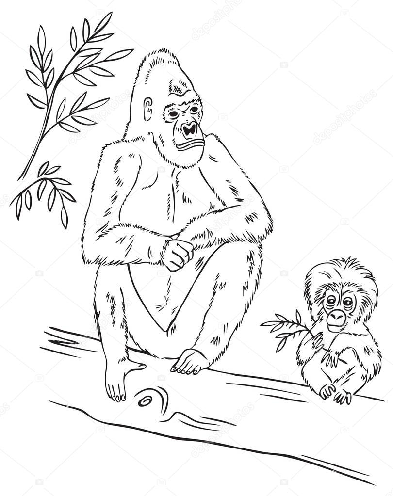 gorilla family on tree