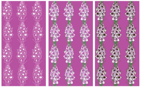Naadloze patroon lavendel bloemen gladiolen — Stockvector