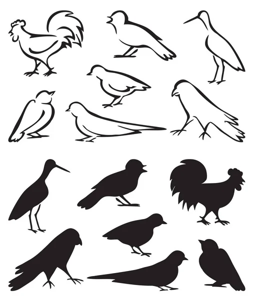 Siluety ptáci sedící — Stockový vektor