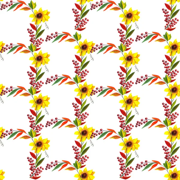 Desen hücre ayçiçekleri ve böğürtlen sonbaharı — Stok fotoğraf