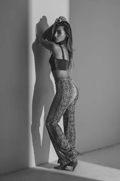 Bergaya Potret Model Gadis Seksi Dengan Tubuh Yang Indah Dan — Stok Foto