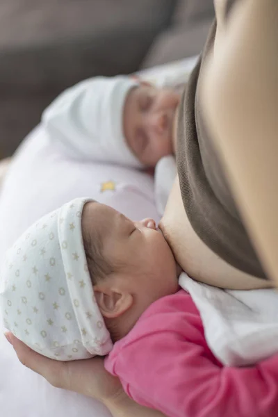 双子の赤ちゃんの母乳育児 — ストック写真