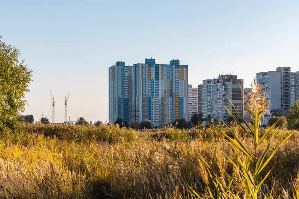 Göldeki sazlıkların arkasındaki modern şehir binaları. Şehir endüstrisi ve doğa manzarası