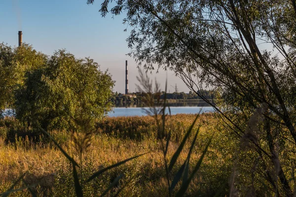 Waste processing plant behind the trees. Urban industry and nature landscape