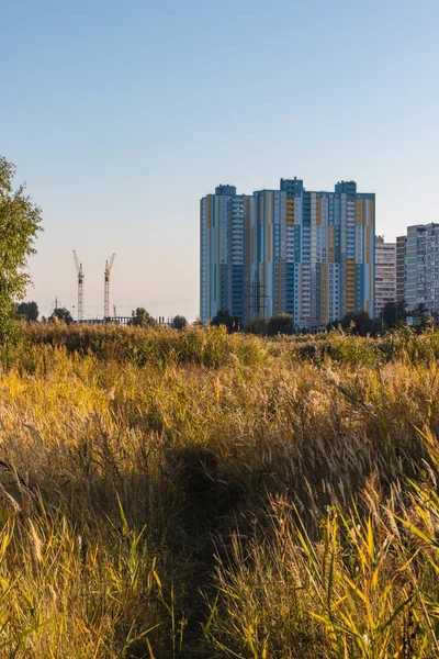 Göldeki sazlıkların arkasındaki modern şehir binaları. Kentsel doğa manzarası