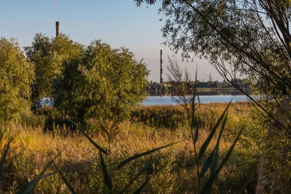 Waste processing plant behind the trees. Urban nature landscape