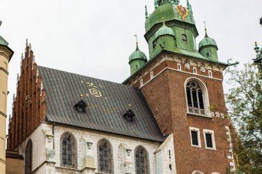 Krakow 'daki Wawel kalesinin manzarası. Çatıda altın harfler